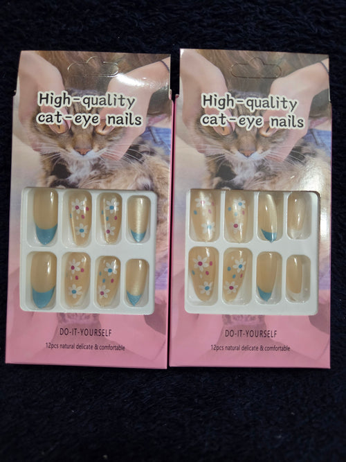 Cat's Eye Nail Blue French Daisy sister sets - nude champagne cat eye base with teal blue French tips and white daisy art press-on nail sets side by side